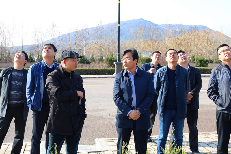 -494ed0e48a126ea6.jpg -494ed0e48a126ea6.jpg